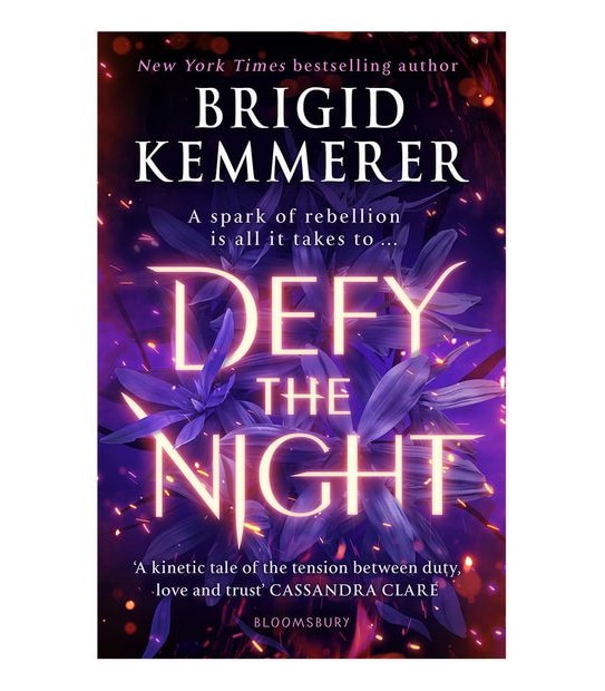 Defy The Night - Brigid Kemmerer