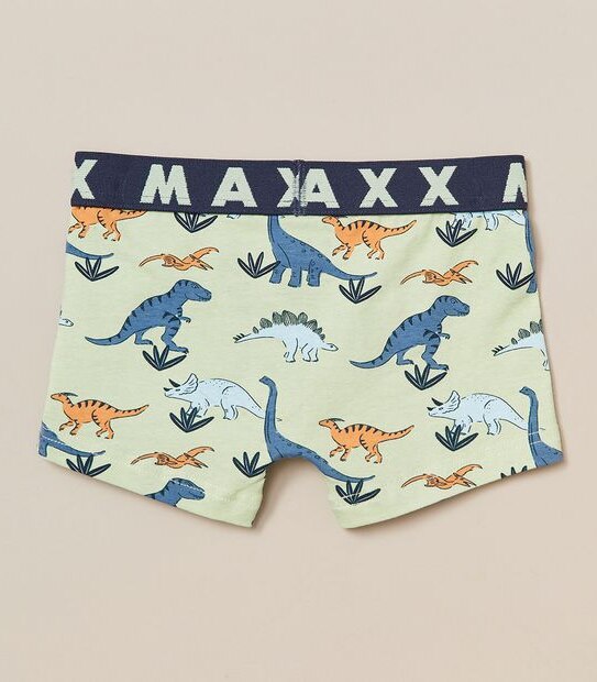 3 Pack Maxx Trunks
