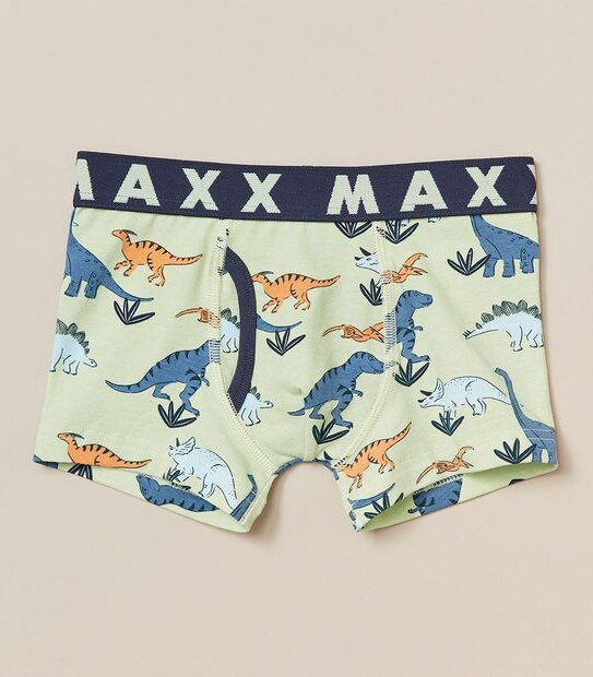 3 Pack Maxx Trunks