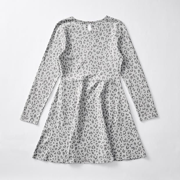 Leopard Print Skater Dress