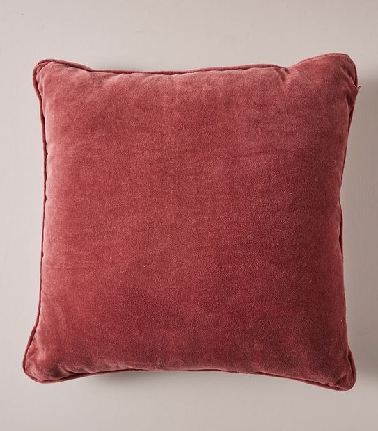Velvet Cushion