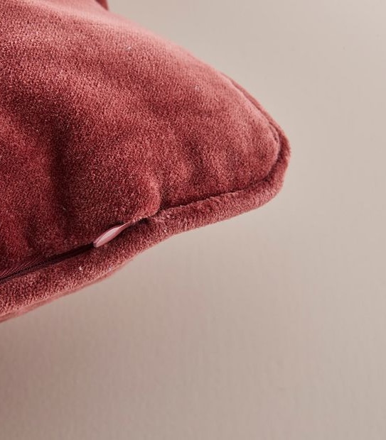 Velvet Cushion
