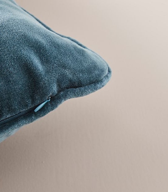 Velvet Cushion