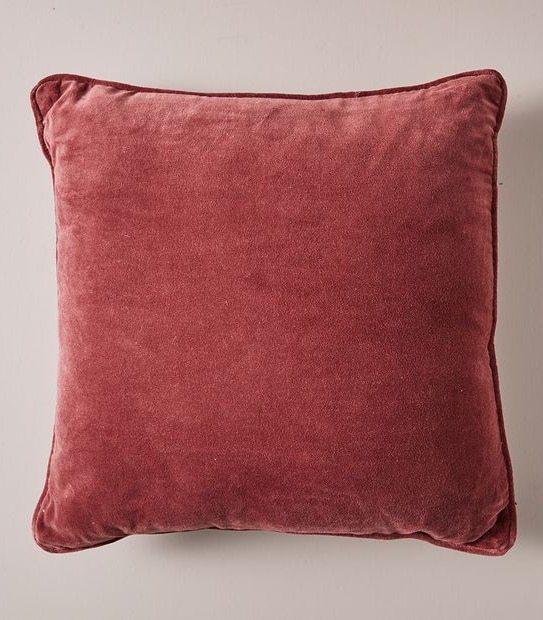 Velvet Cushion