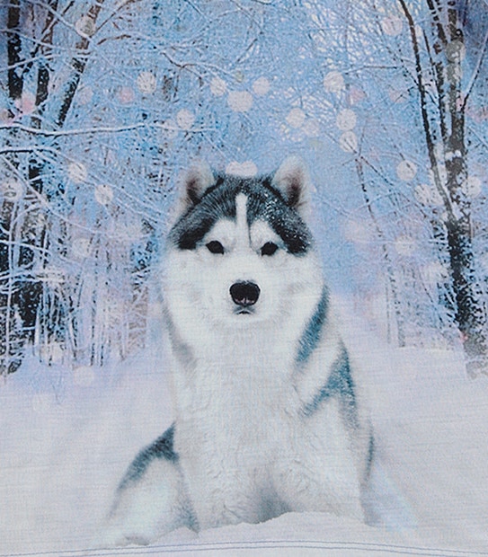 Long Sleeve Husky Photographic Print Top