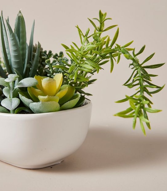 Faux Succulent in Oval Ceramic Pot - Small