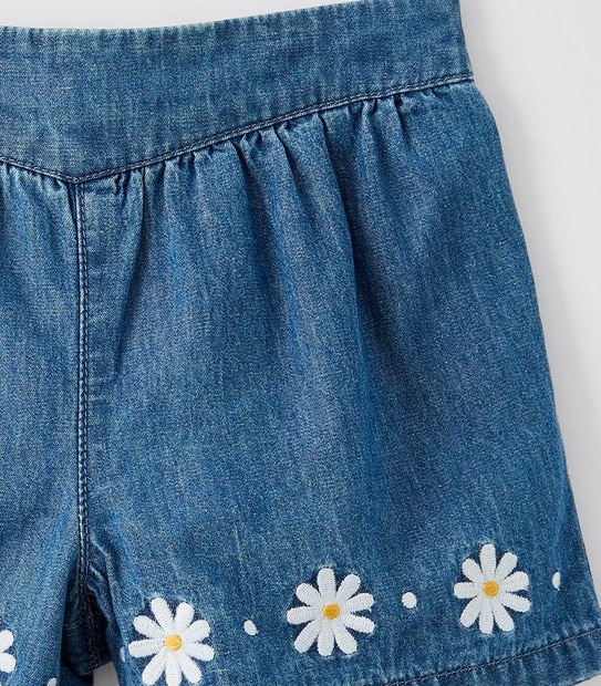 Chambray Shorts