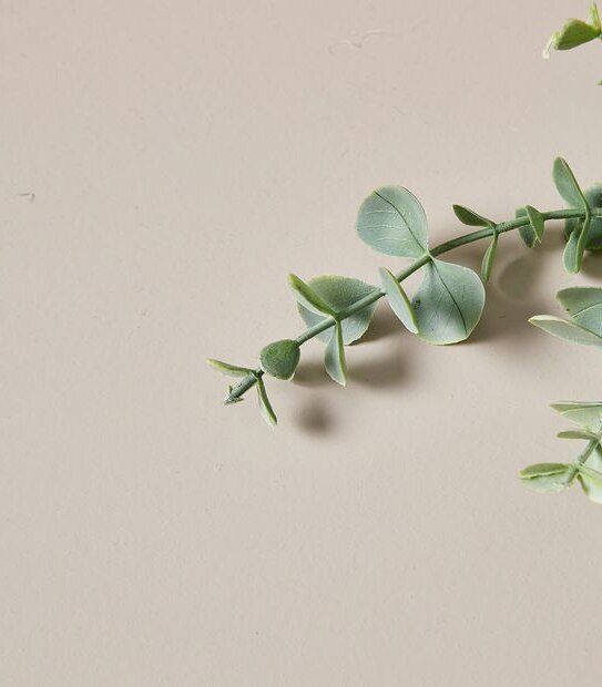 Faux Trailing Succulent in Pot