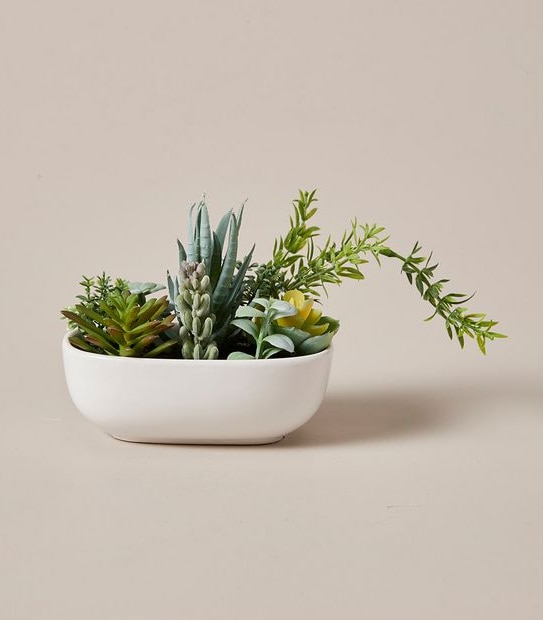 Faux Succulent in Oval Ceramic Pot - Small