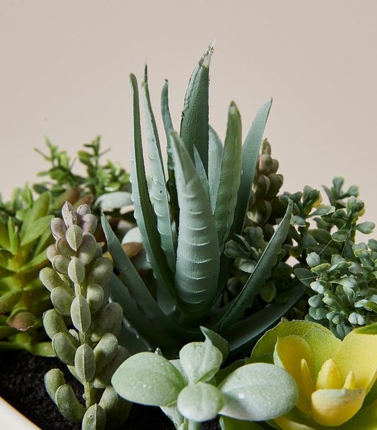 Faux Succulent in Oval Ceramic Pot - Small
