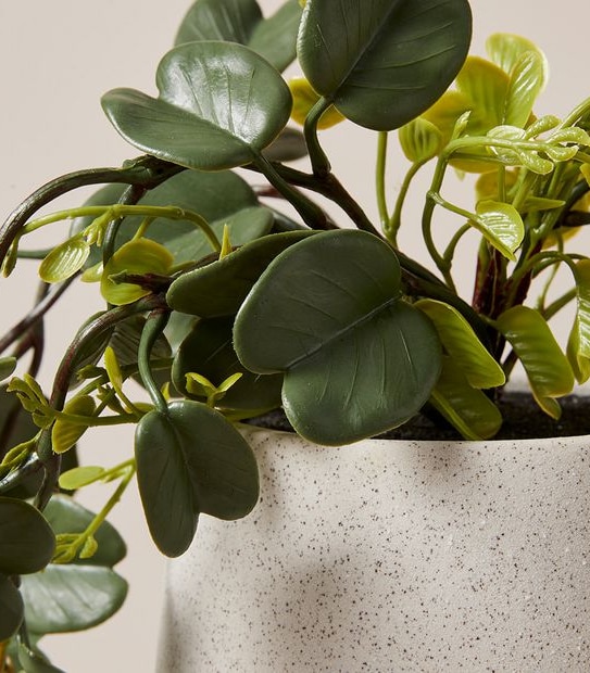 Faux Trailing Greenery in Pot