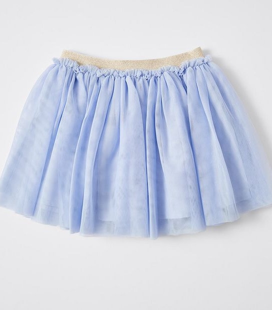 Tulle Skirt