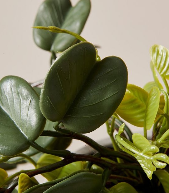 Faux Trailing Greenery in Pot