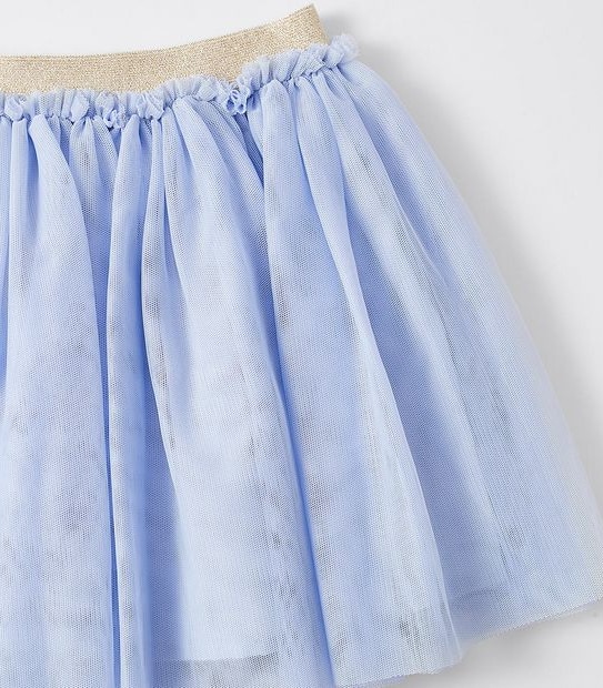 Tulle Skirt
