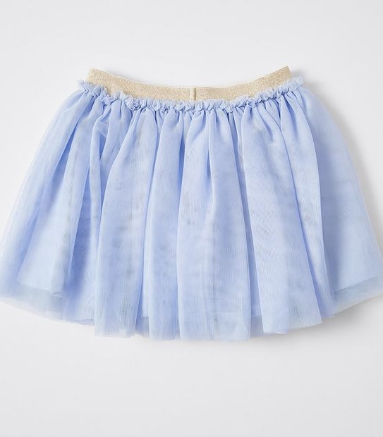 Tulle Skirt