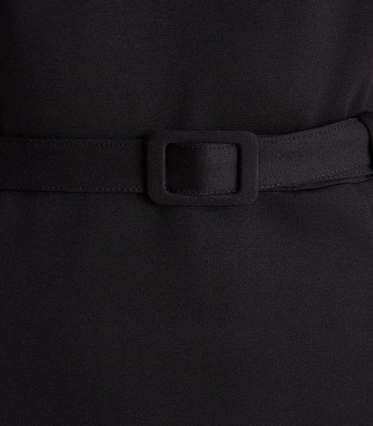 Preview Sheath Dress with Belt