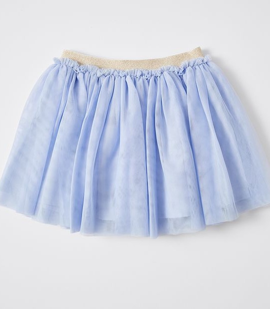 Tulle Skirt