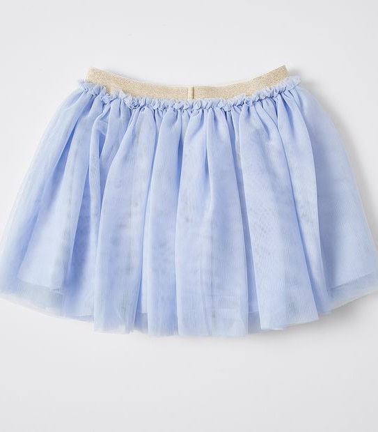 Tulle Skirt