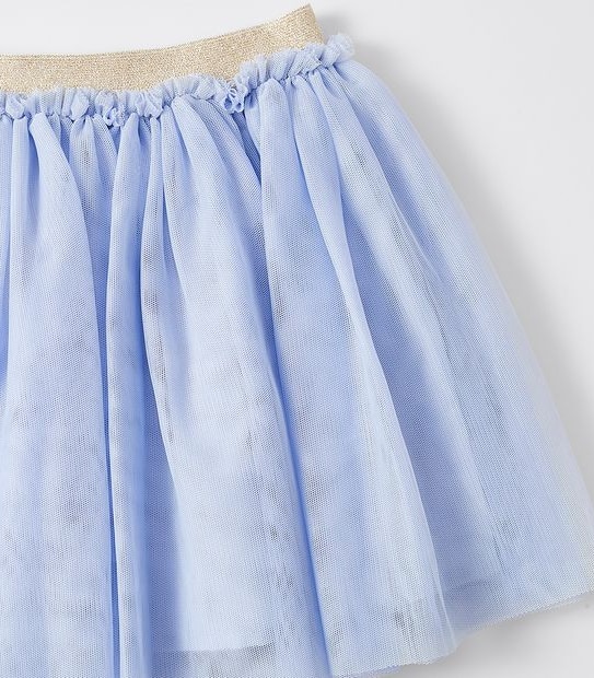 Tulle Skirt