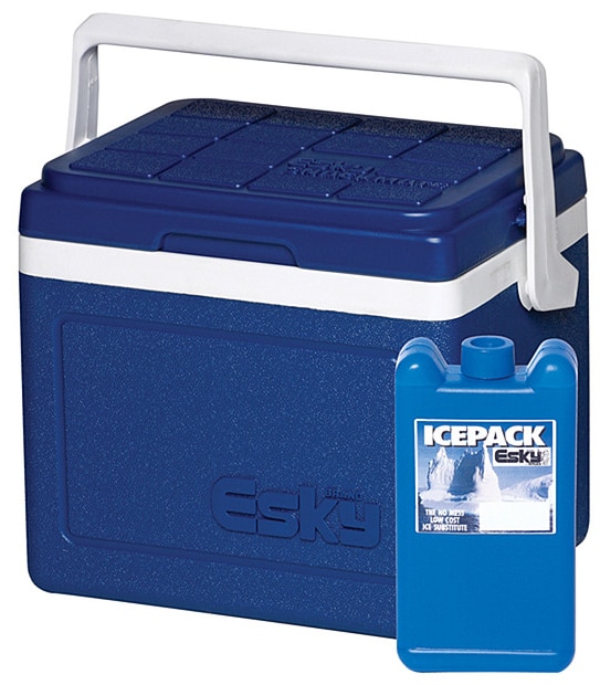 Esky 6 Litre Value Pack With Ice Brick