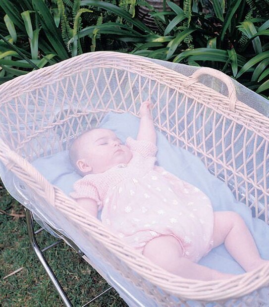 Dreambaby Stroller & Play-Yard Insect Netting