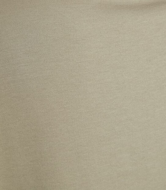 Dannii Minogue Petites Grown On Sleeve Neck Rib T-Shirt 4 of 6