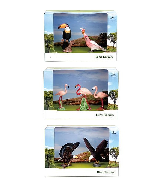 Animal Kingdom Bird Medium Pack Assorted