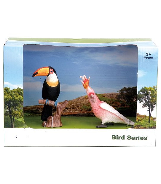 Animal Kingdom Bird Medium Pack Assorted