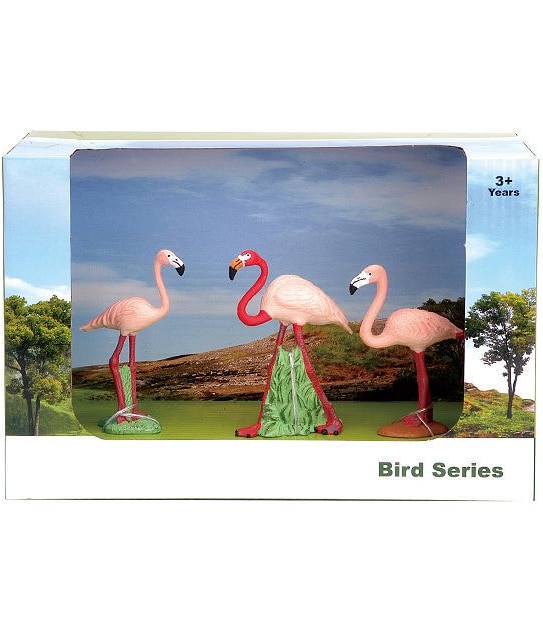 Animal Kingdom Bird Medium Pack Assorted