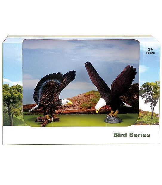 Animal Kingdom Bird Medium Pack Assorted