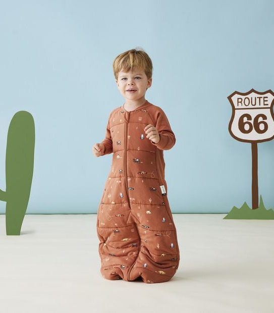 Ergo Pouch x Disney Jersey Sleep Suit 2.5 TOG - Size 2-4 years