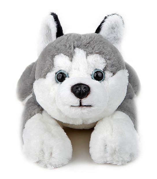 FAO Schwarz - Toy Plush Lying Husky 15"