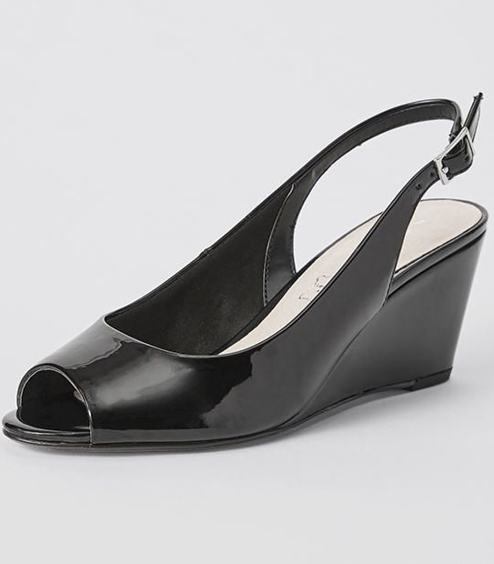 Washington Patent Wedges
