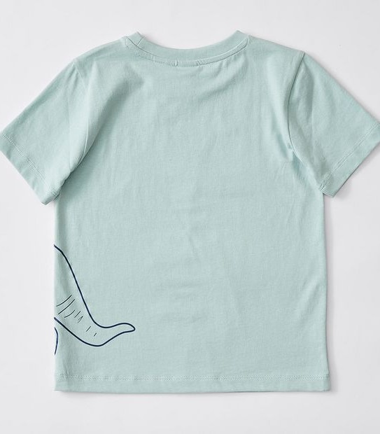 Skating Dinosaur Pyjama Set - Blue/Green