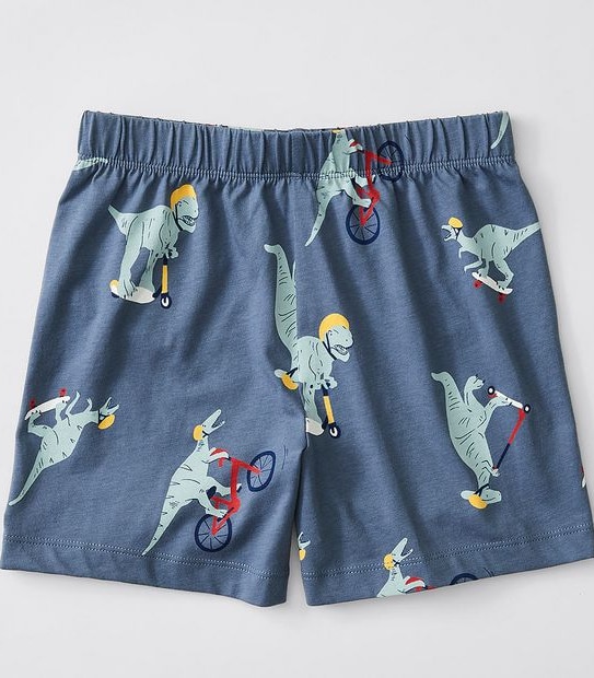 Skating Dinosaur Pyjama Set - Blue/Green
