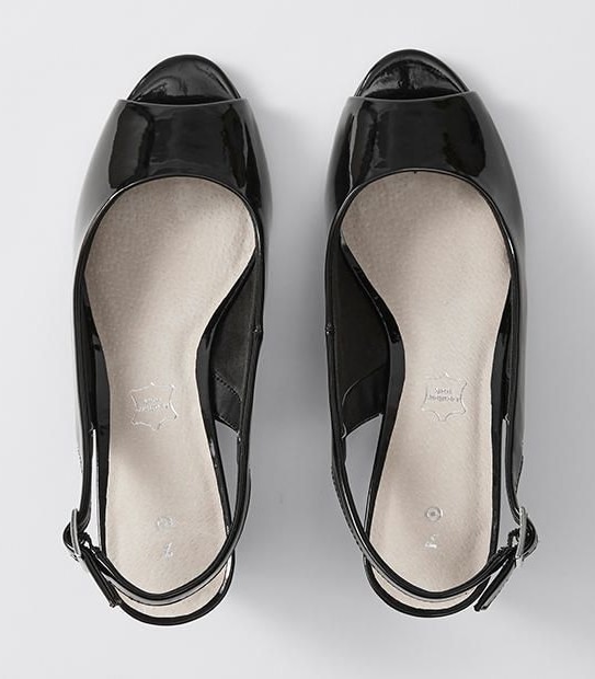 Washington Patent Wedges