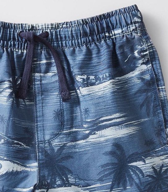 Volley Swim Boardshort