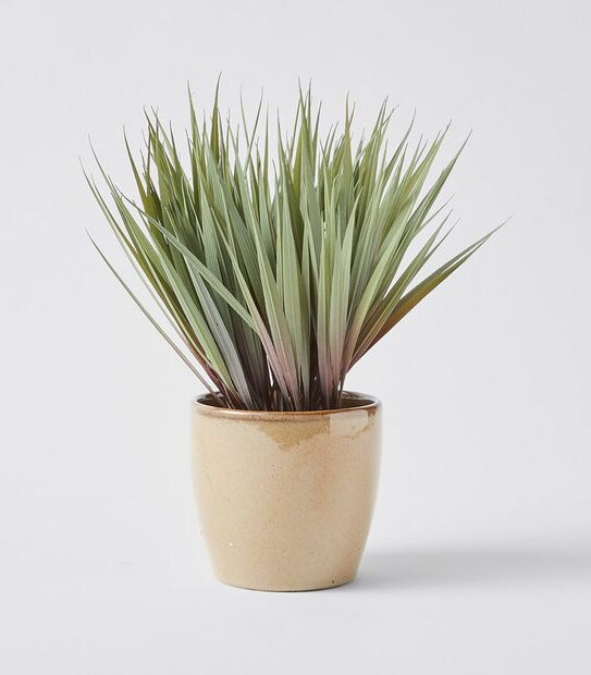 Faux Grass Plant in Ceramic Pot
