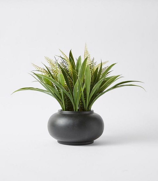 Greenery Plant in Pot