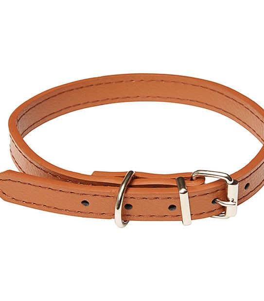 Patch & Socks Leather Dog Collar Small