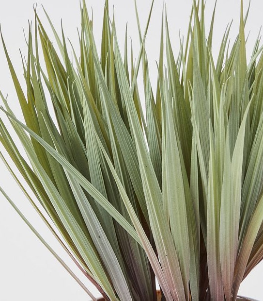 Faux Grass Plant in Ceramic Pot