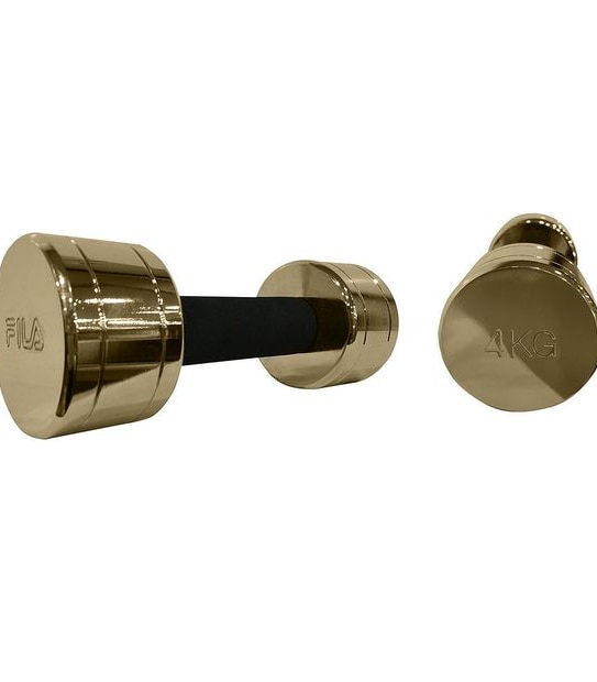 Fila Metallic Dumbbell 4kg