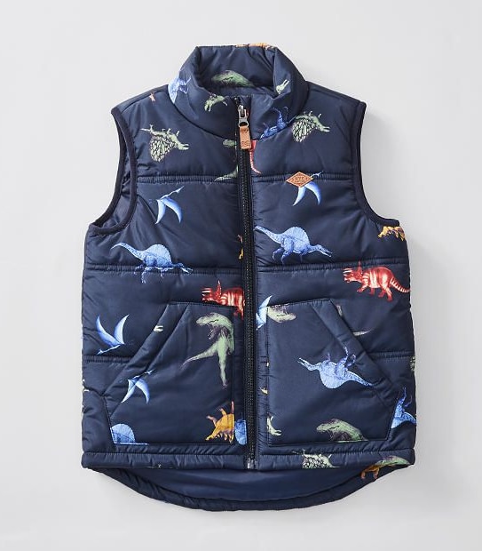 Dinosaur Puffer Vest
