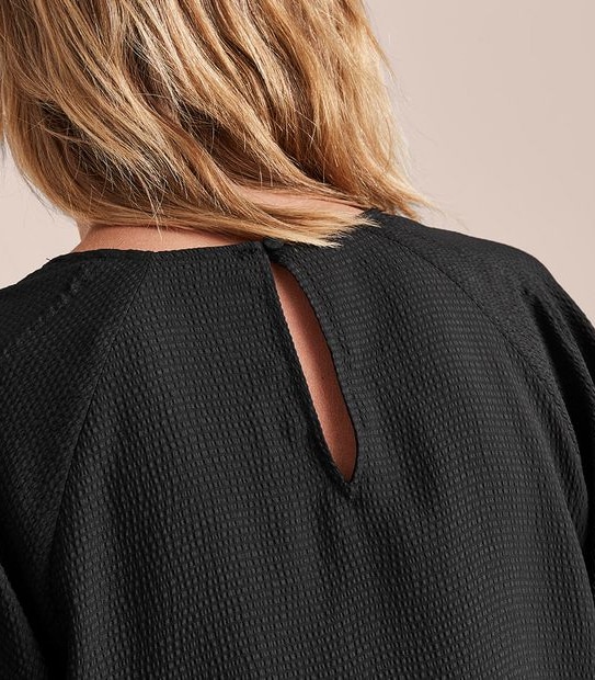 Preview Shell Top