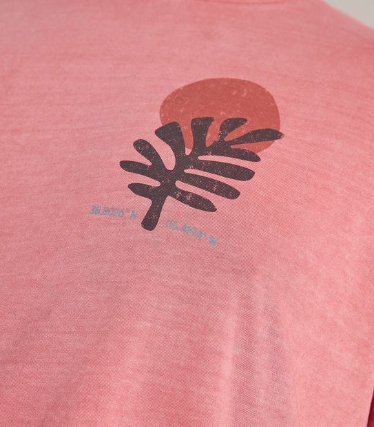 Mr Big Garment Dye Print T-Shirt