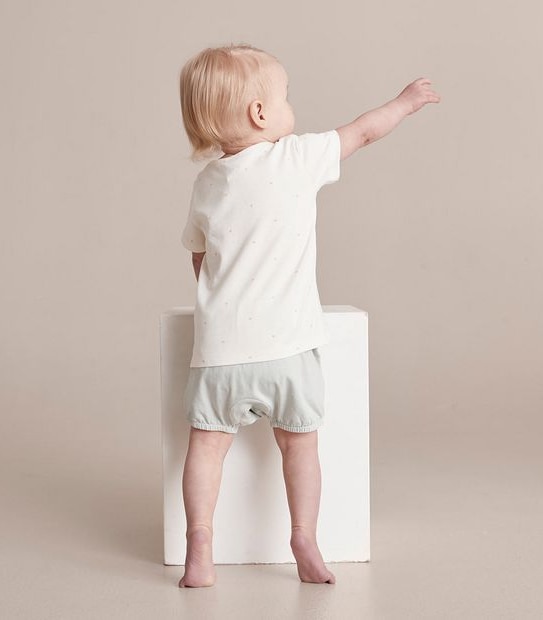 3 Pack Baby Organic Cotton Print T-shirts