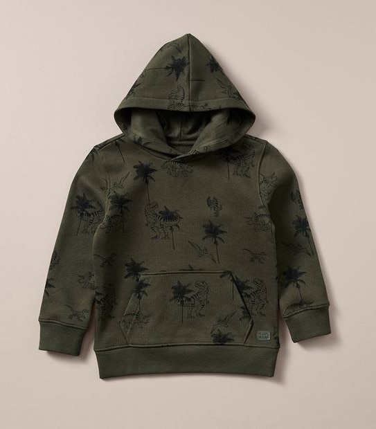 Print Hoodie Target Australia