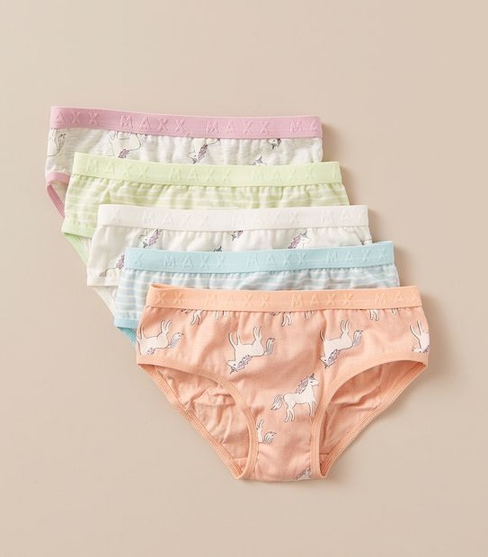 5 Pack Maxx Briefs