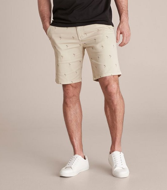 Garment Dyed Print Regular Chino Shorts | Target Australia