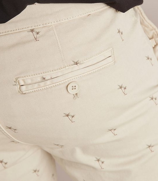 Garment Dyed Print Regular Chino Shorts
